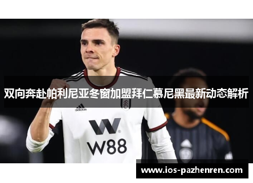 双向奔赴帕利尼亚冬窗加盟拜仁慕尼黑最新动态解析