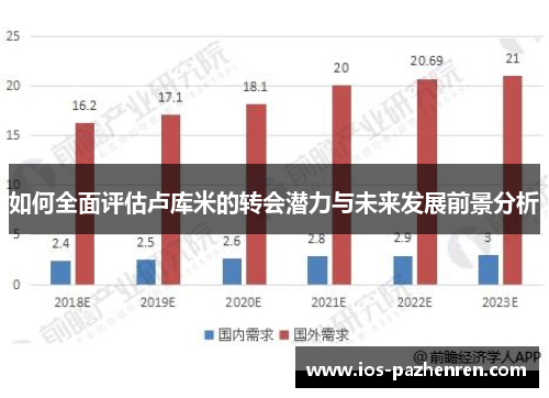 如何全面评估卢库米的转会潜力与未来发展前景分析 如何全面评估卢库米的转会潜力与未来发展前景分析