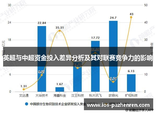英超与中超资金投入差异分析及其对联赛竞争力的影响