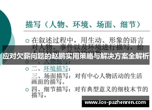 应对欠薪问题的赵鹏实用策略与解决方案全解析