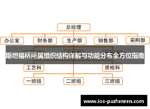 斯坦福桥所属组织结构详解与功能分布全方位指南 斯坦福桥所属组织结构详解与功能分布全方位指南