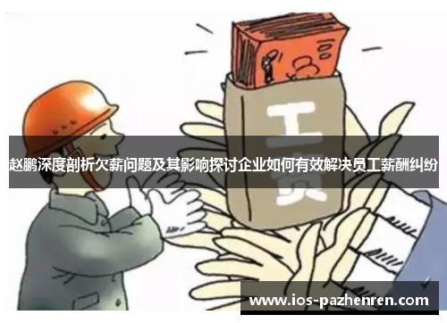 赵鹏深度剖析欠薪问题及其影响探讨企业如何有效解决员工薪酬纠纷