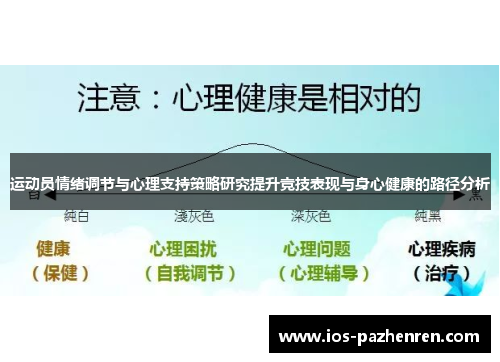 运动员情绪调节与心理支持策略研究提升竞技表现与身心健康的路径分析 运动员情绪调节与心理支持策略研究提升竞技表现与身心健康的路径分析