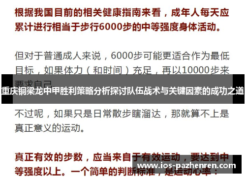 重庆铜梁龙中甲胜利策略分析探讨队伍战术与关键因素的成功之道
