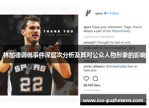 林加德调侃事件深层次分析及其对公众人物形象的影响