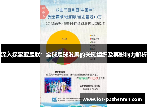 深入探索亚足联：全球足球发展的关键组织及其影响力解析