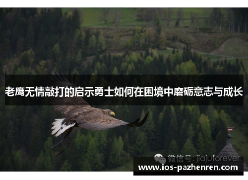 老鹰无情敲打的启示勇士如何在困境中磨砺意志与成长 老鹰无情敲打的启示勇士如何在困境中磨砺意志与成长